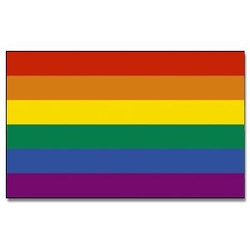 Vlajka na tyčce DUHOVÁ LGBT 30 x 45 cm
